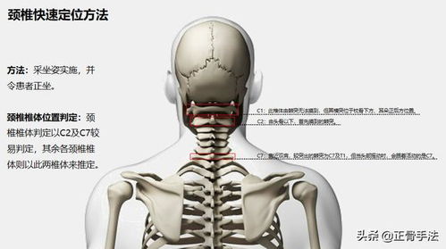 正骨手法必备 脊柱每一节段的定位方法,你掌握了没有呢