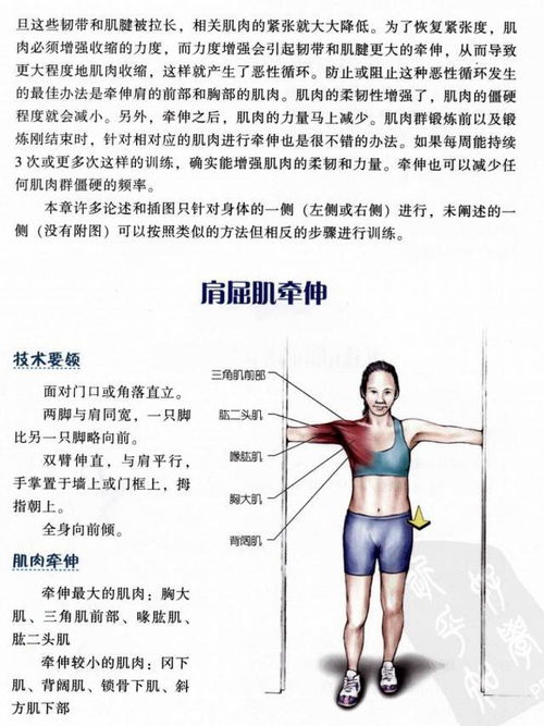 拉伸解剖指南 颈 肩 背 胸 手臂 腕 手
