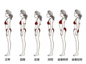 肩颈疼痛 驼背含胸 练好这5个动作,让你告别体态不良