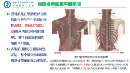 筋膜平面阻滞