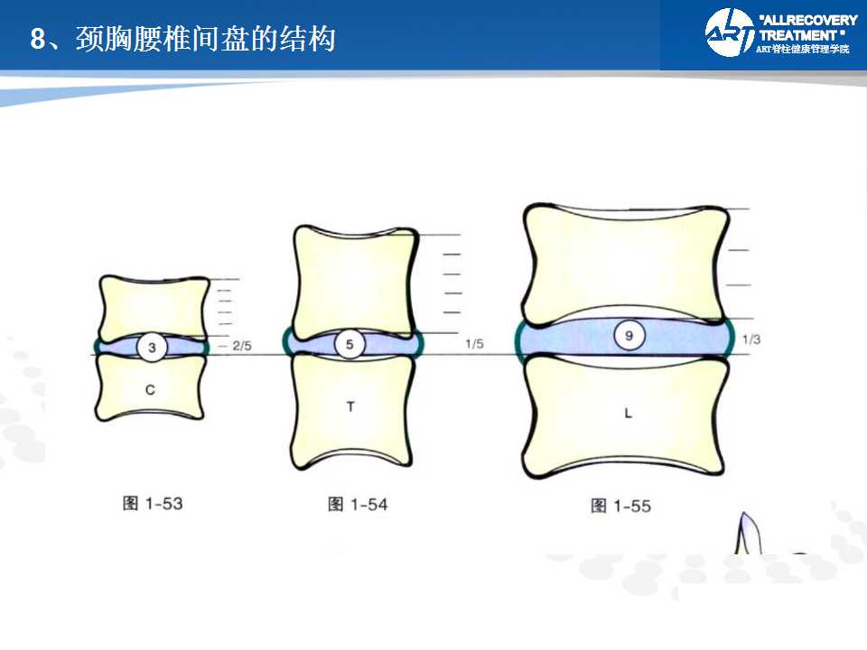 腰椎间盘突出治疗思路与影像分析 二