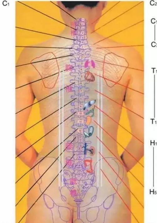 颈椎,腰椎病诊断金子要诀 收了吧