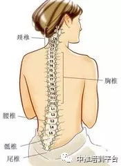 颈椎 腰椎病,快速诊断要诀