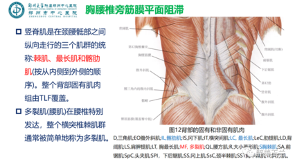 筋膜平面阻滞