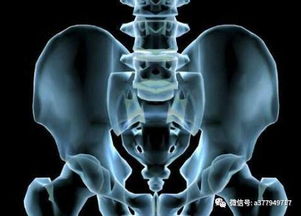 胸椎 颈椎 腰椎 骨棘突定位 图文详解