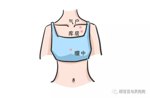 正确罩杯的成长之路 丰胸
