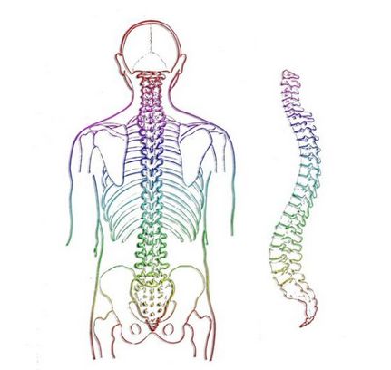 马化腾因腰病手术难愈,腰椎病偏爱it精英