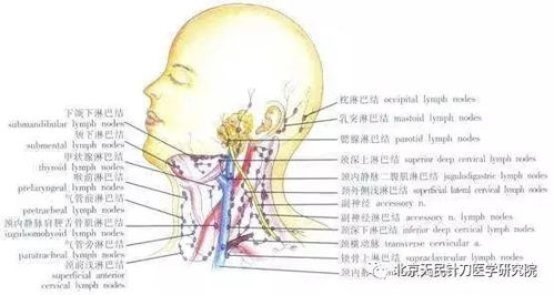枕区软组织损害的临床表现