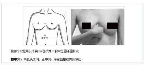 talika塔莉卡胸颈护理精华乳 打造完美身材 y