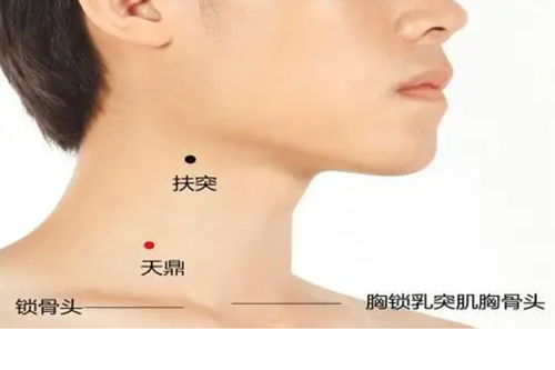扶突的准确位置图和作用功效