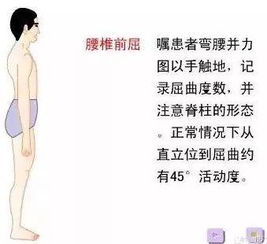 胸椎 颈椎 腰椎 骨棘突定位,拿走不谢 图文详解