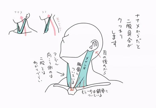 怎么画出优美的天鹅颈和性感的喉结 只要画好这步一切迎难而解