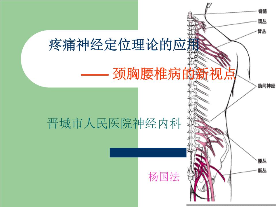 脊髓节段性理论的应用_1幻灯片.ppt