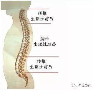 颈椎,腰椎病诊断金子要诀 绝对精辟
