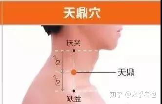 手阳明大肠经20个高清穴位图